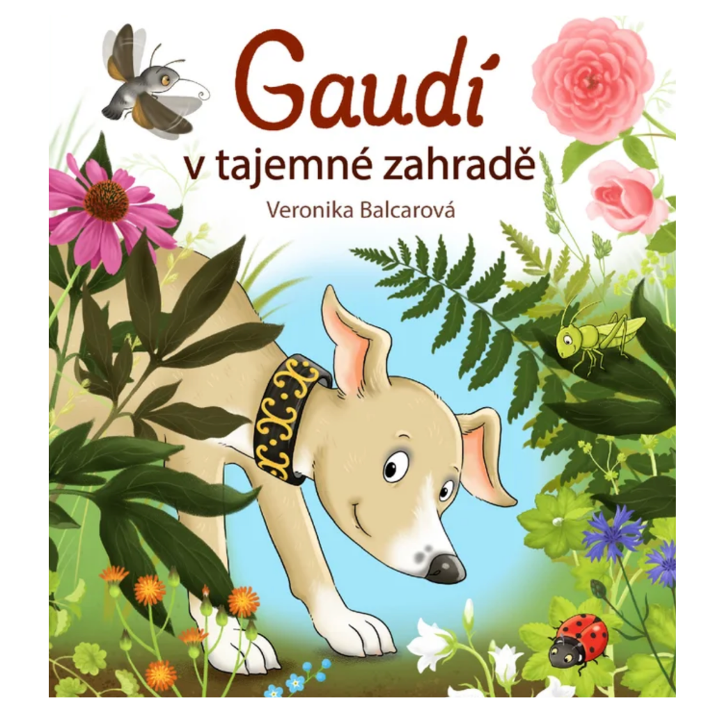 KOUZELNÉ VÁNOČNÍ ČTENÍ ✶ VÁNOČNÍ SVATOZÁŘ PRVNÍ ČTENÍ PRO DĚTI -3